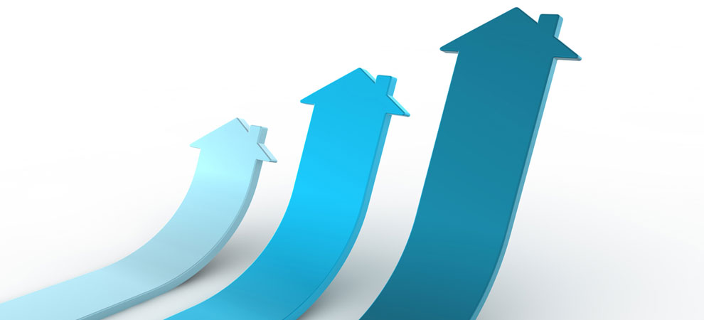 Market Reports